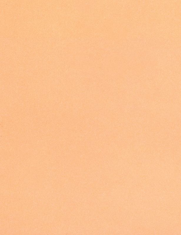 Skin Tone Craft Paper - Pack of 48