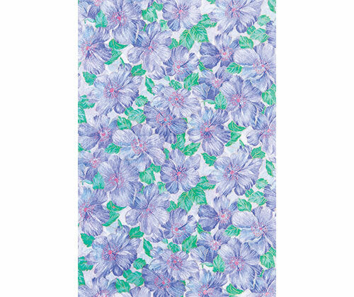 Rice Paper - Pack of 10