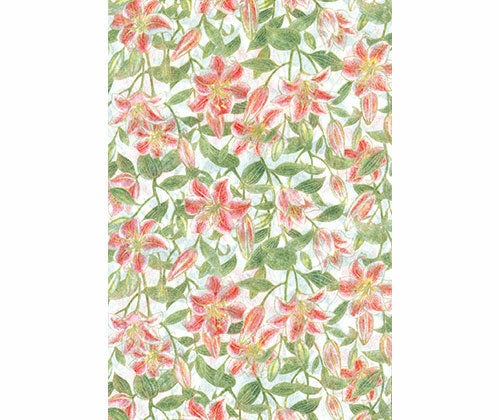 Rice Paper - Pack of 10