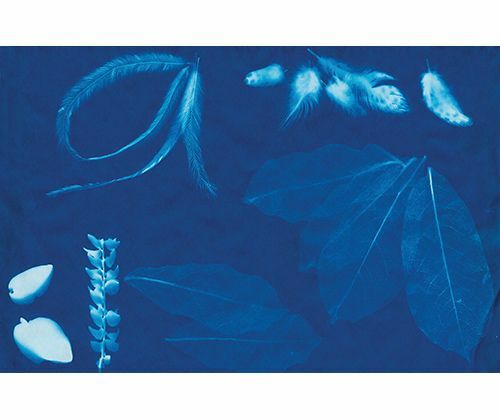 Sun Sensitive Paper - Pack of 15