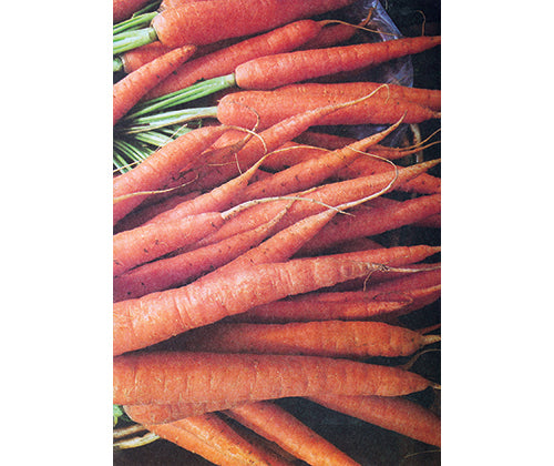 Pattern Paper A4 Fruit & Veg - Pack of 40