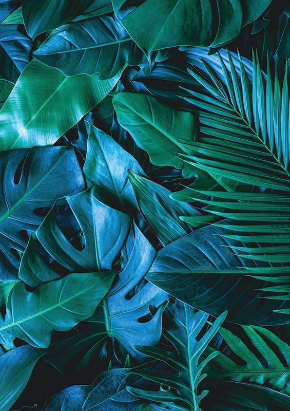 Pattern Papers Foliage