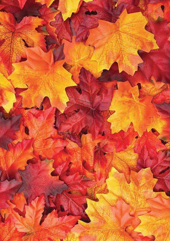 Pattern Papers Foliage