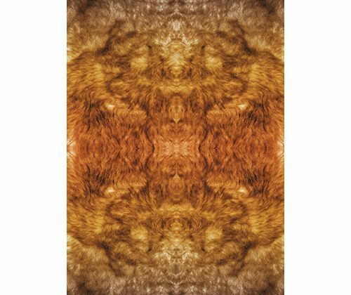 Pattern Paper (A4) - Animal