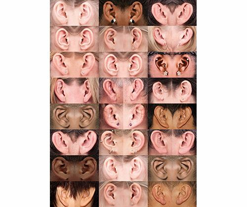Face Pack Paper (A3) - Pack of 40