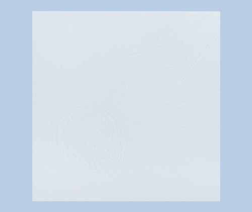 Acrylic Base 10 x 10cm Clear - Pack of 5