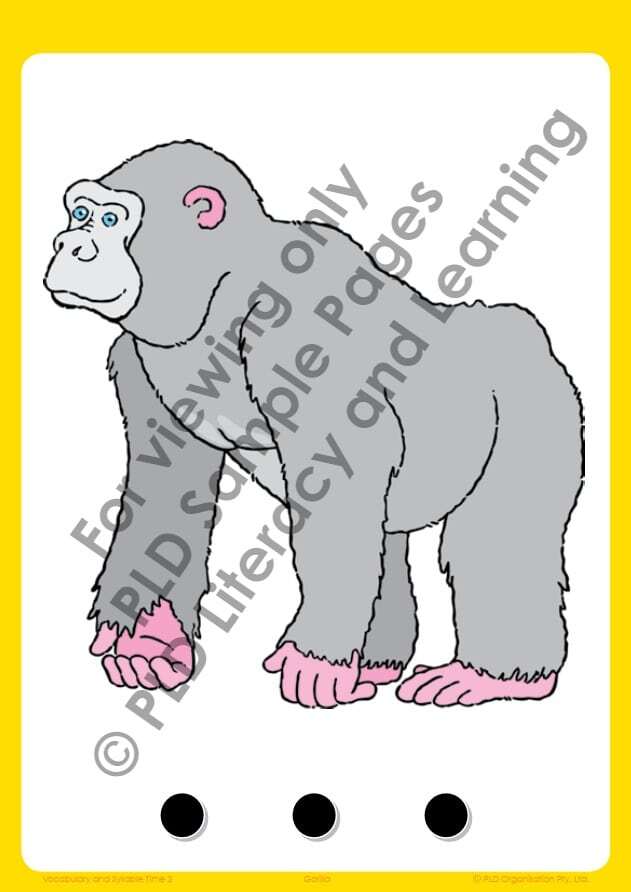 Vocabulary & Syllable Time - Set 2
