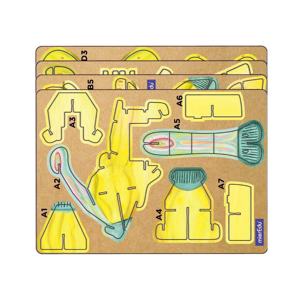 mierEdu Build n Sound 3D Puzzle - Parasaurolophus - view 2