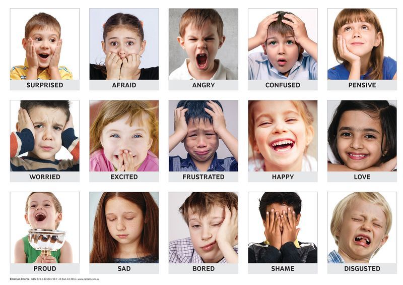Emotions Art & Language Charts