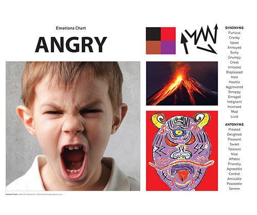 Emotions Art & Language Charts