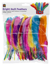 Quill Feathers (60g) - Brights