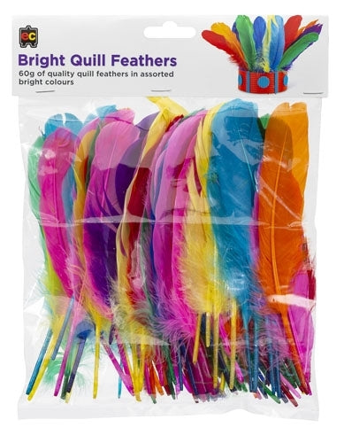 Quill Feathers (60g) - Brights