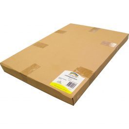 Rainbow Premium Cartridge Paper - A2 (110gsm): Pack of 250
