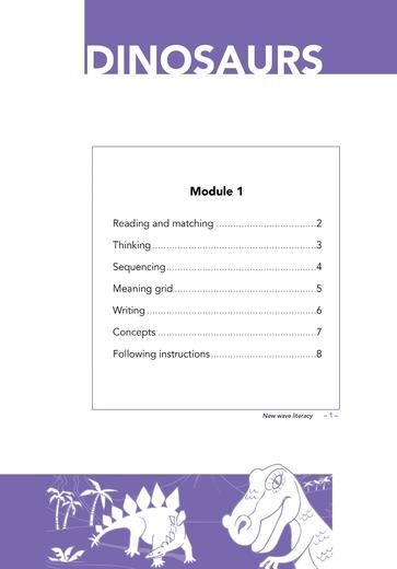 New Wave Literacy Skills Book B – Ages 6–7