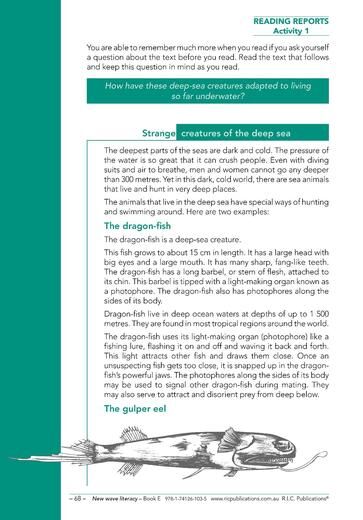 New Wave Literacy Skills Book E – Ages 9–10