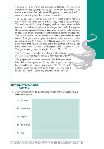 New Wave Literacy Skills Book E – Ages 9–10