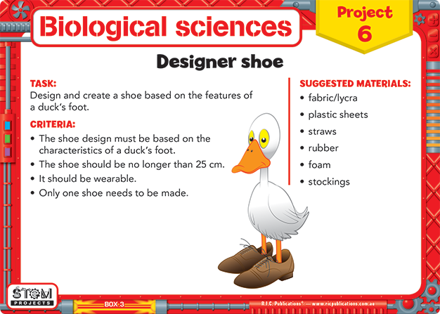 STEM Projects - Year 3 (Revised)