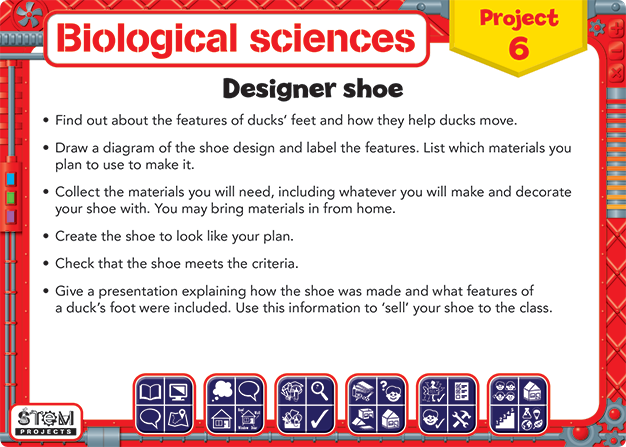 STEM Projects - Year 3 (Revised)
