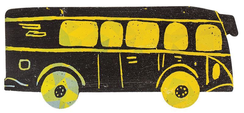Scratch Transport - Pack of 24