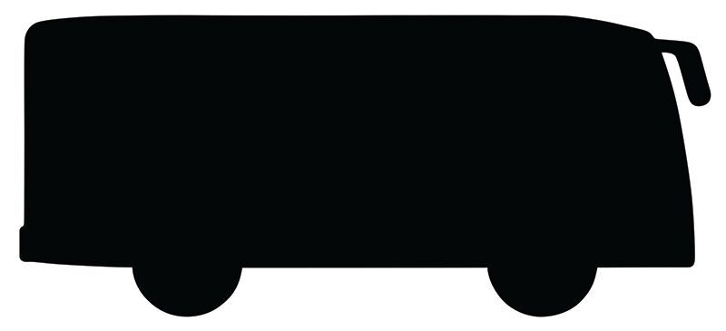 Scratch Transport - Pack of 24