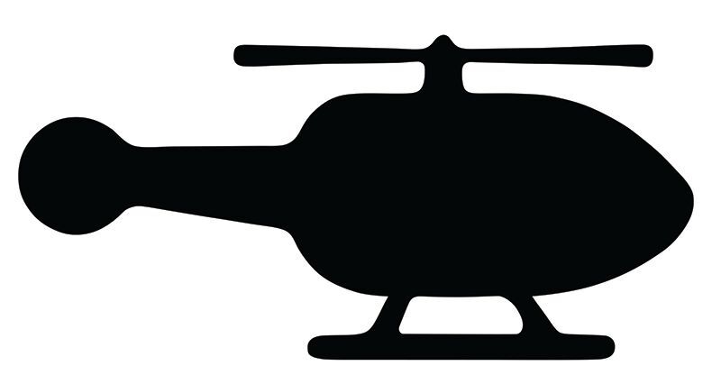 Scratch Transport - Pack of 24