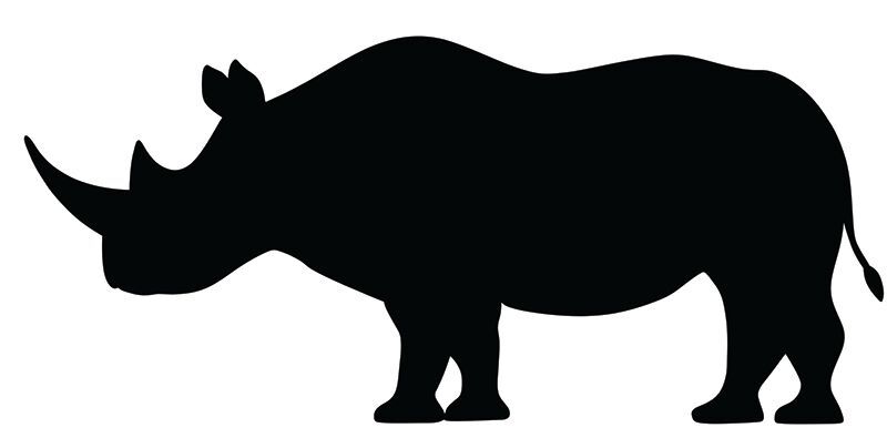 Scratch Wild Animal - Pack of 24
