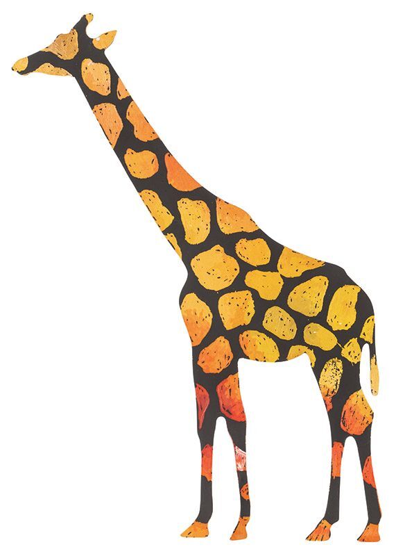 Scratch Wild Animal - Pack of 24