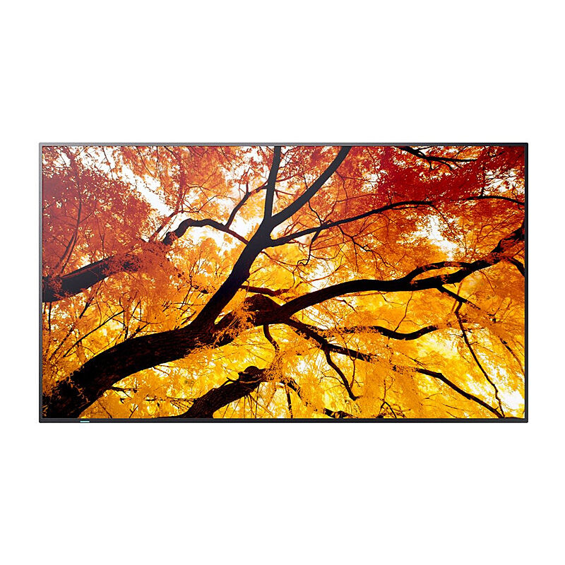 SHARP M-series 50'' Display