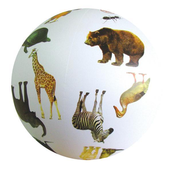Animal Ball – Phase 1 (Letters and Sounds)