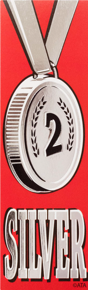 Silver 2 - Self-Adhesive Vinyl Medal Ribbons