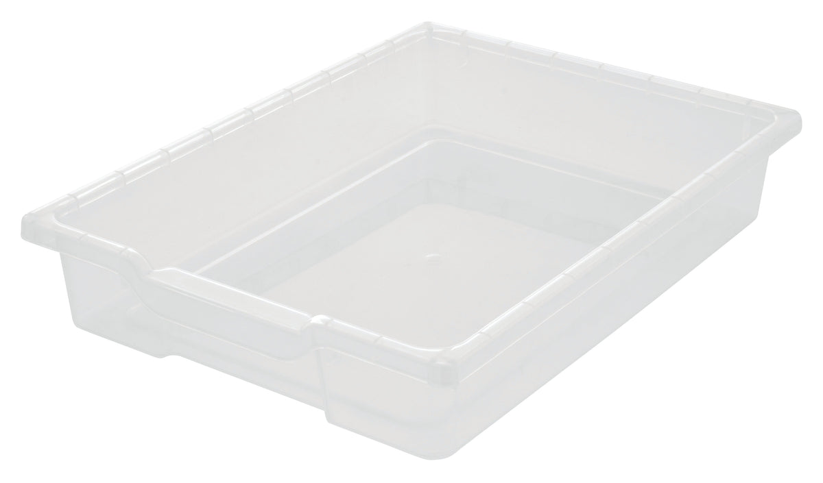 Ergerite Small Tote Tray Clear