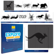 Mindful Motions Sensory Cards - Explore