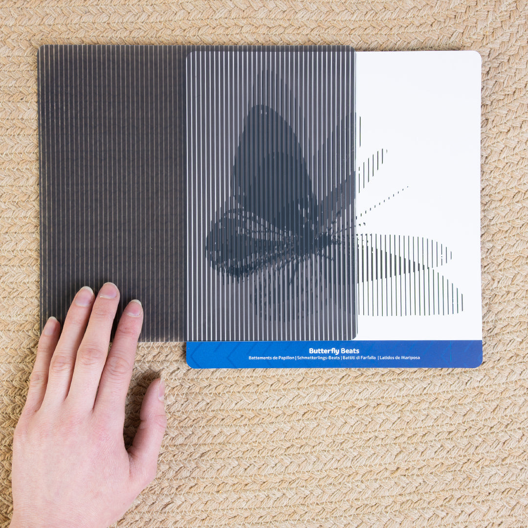 Mindful Motions Sensory Cards - Explore
