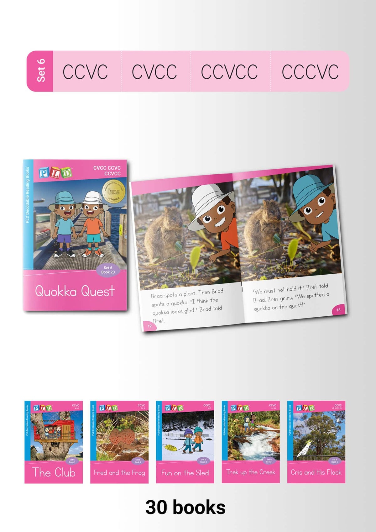PLD Decodable Reading Books (Set 6 – CCVC & CVCC)
