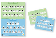 Sound Waves Spelling - Foundation Teaching Charts