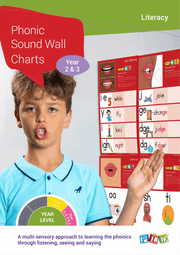Phonic Sound Wall Charts for Year 2 & 3