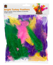 Turkey Feathers (60g) - Brights