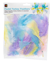 Turkey Feathers (60g) - Pastel