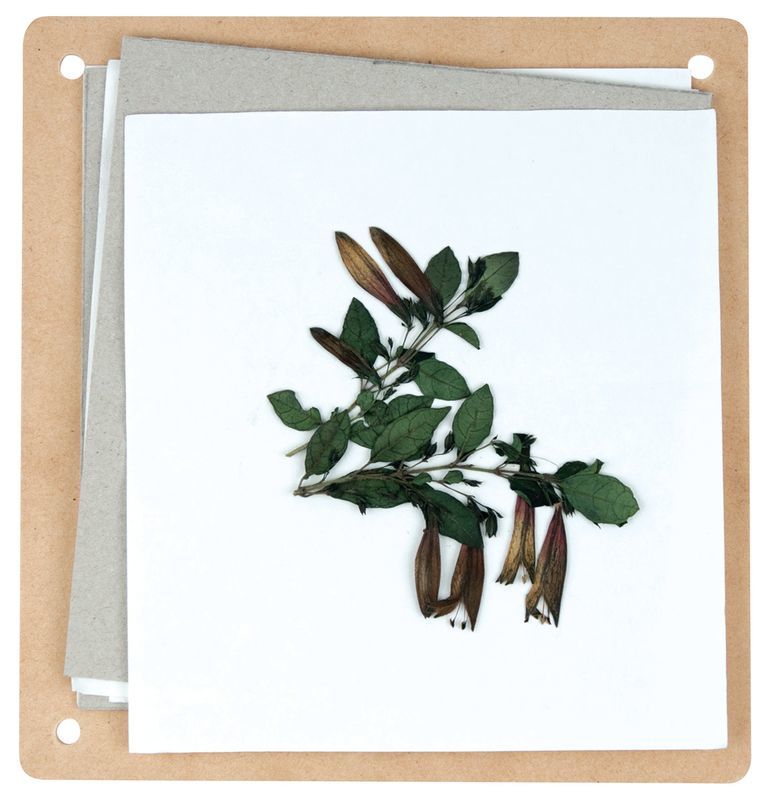Discovery - Flower Press Kit