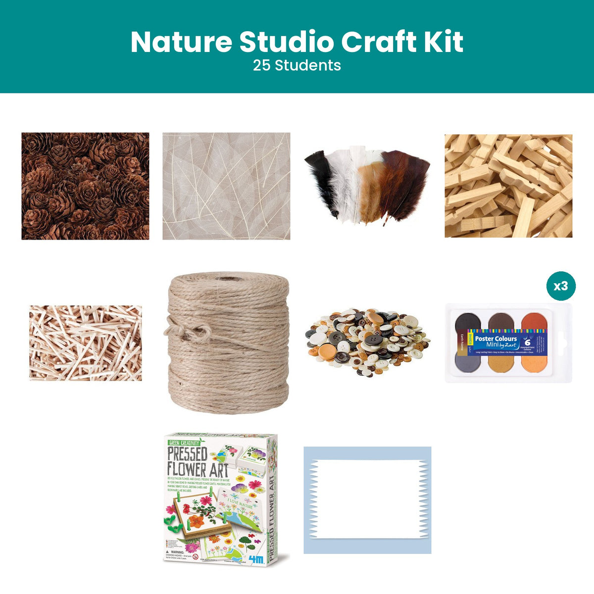 Nature Studio Craft Kit (25 Students)