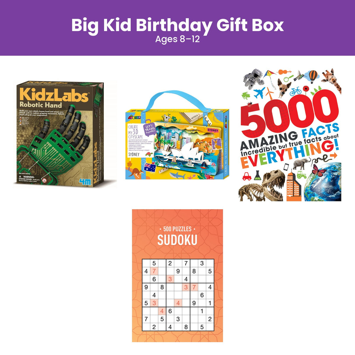 Big Kid Birthday Gift Box (Ages 8–12)