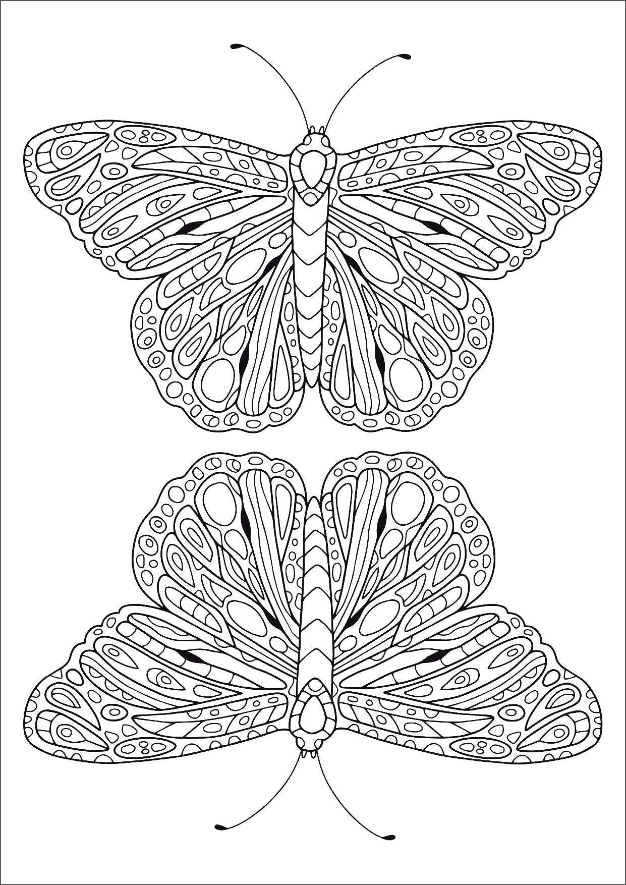 Mindful Colouring - Amazing Animals — inside page 1