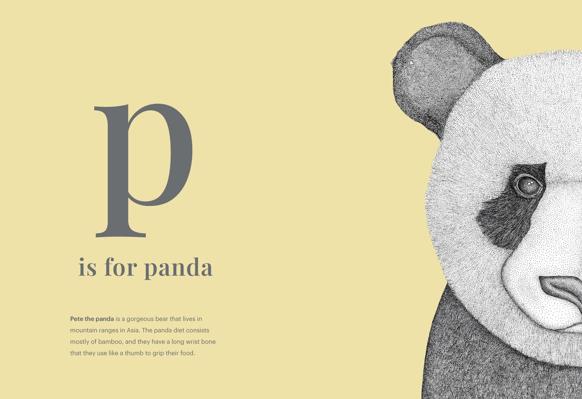 Dots by Donna - The Animal Alphabet — inside page 4