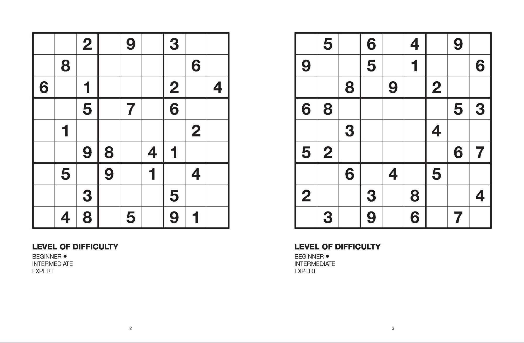 Large Print Puzzle Book - Sudoku — inside page 1