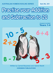 Practise Your Addition and Subtraction to 20