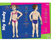 My Body Wall Chart