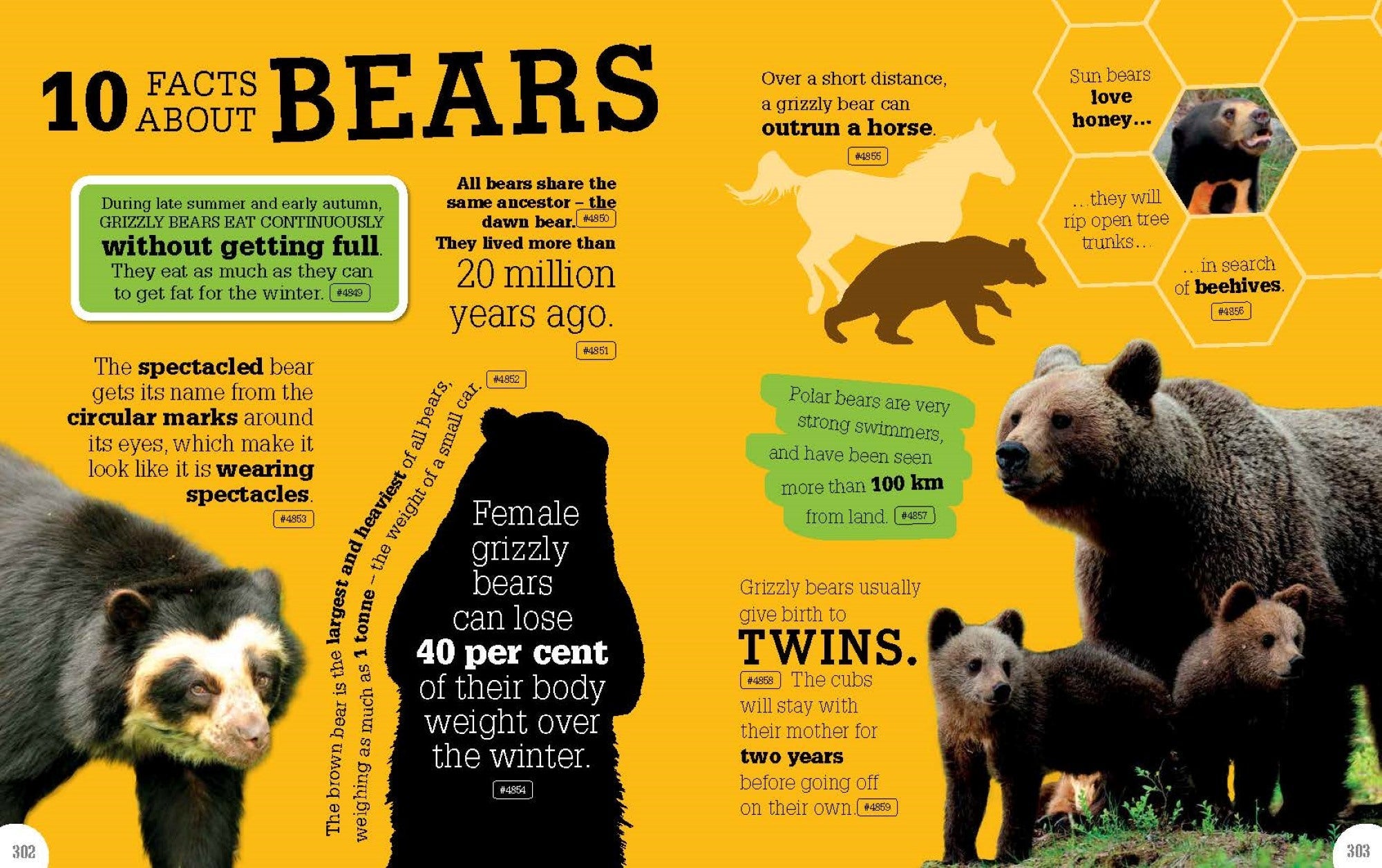 5000 Amazing Facts — inside page 2