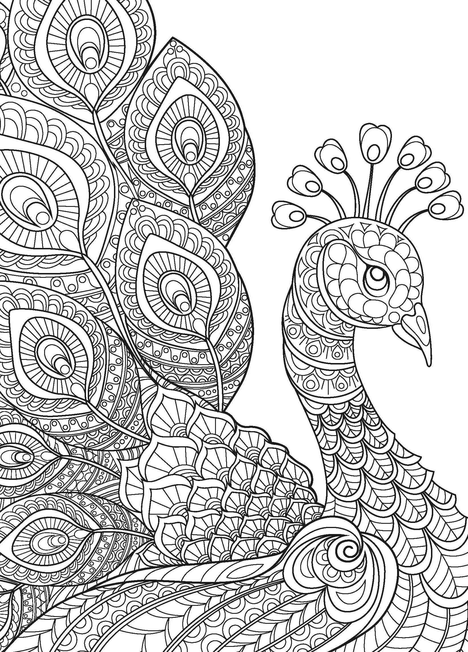 Wall Art - Amazing Animals (FSC) — inside page 1