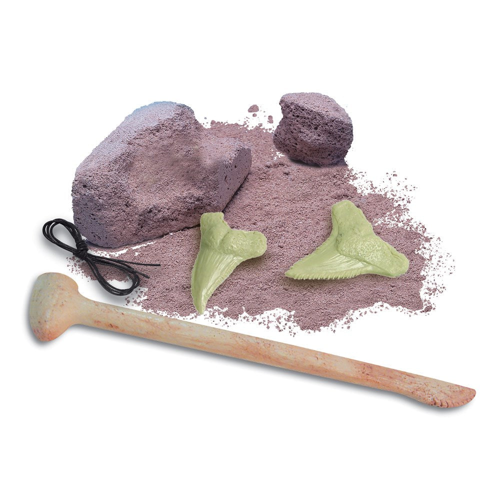4M KidzLabs - Shark Tooth Fossil - view 2