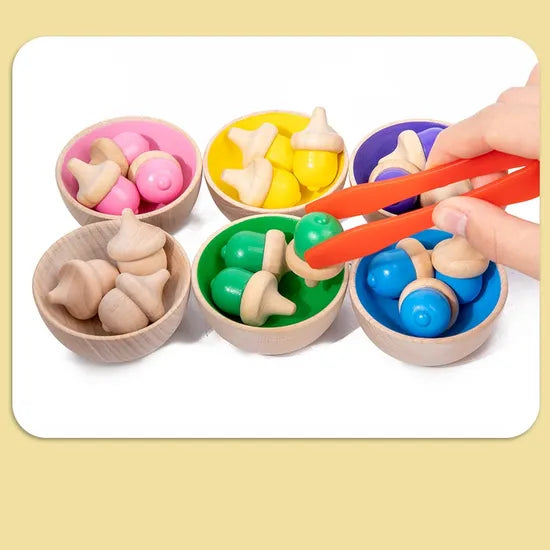 Colour Classify Toys - 29 Pieces